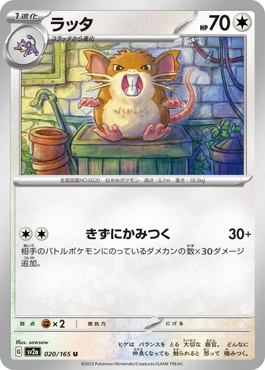 Raticate 020/165