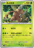 Pinsir 127/165