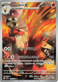 Blaziken 101/098