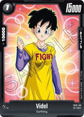 Videl FB05-108