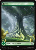 Forest 307