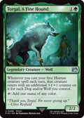 Torgal, A Fine Hound 208