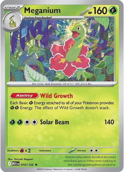 Meganium 010/132 Holo
