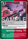 Sprint Dash Training LM-055 Holo