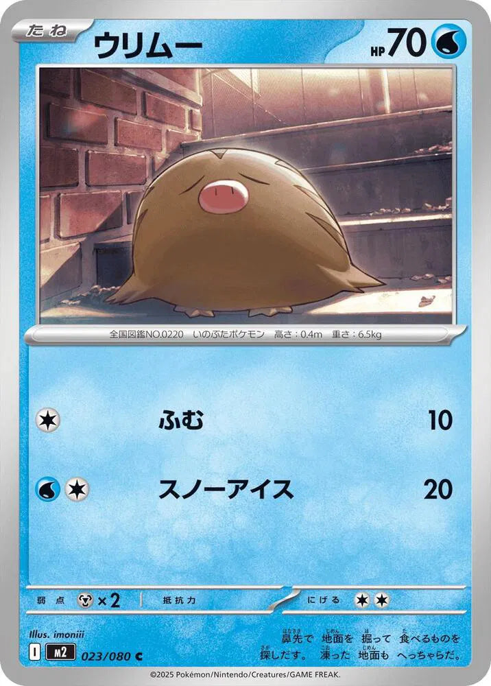 Swinub  023/080