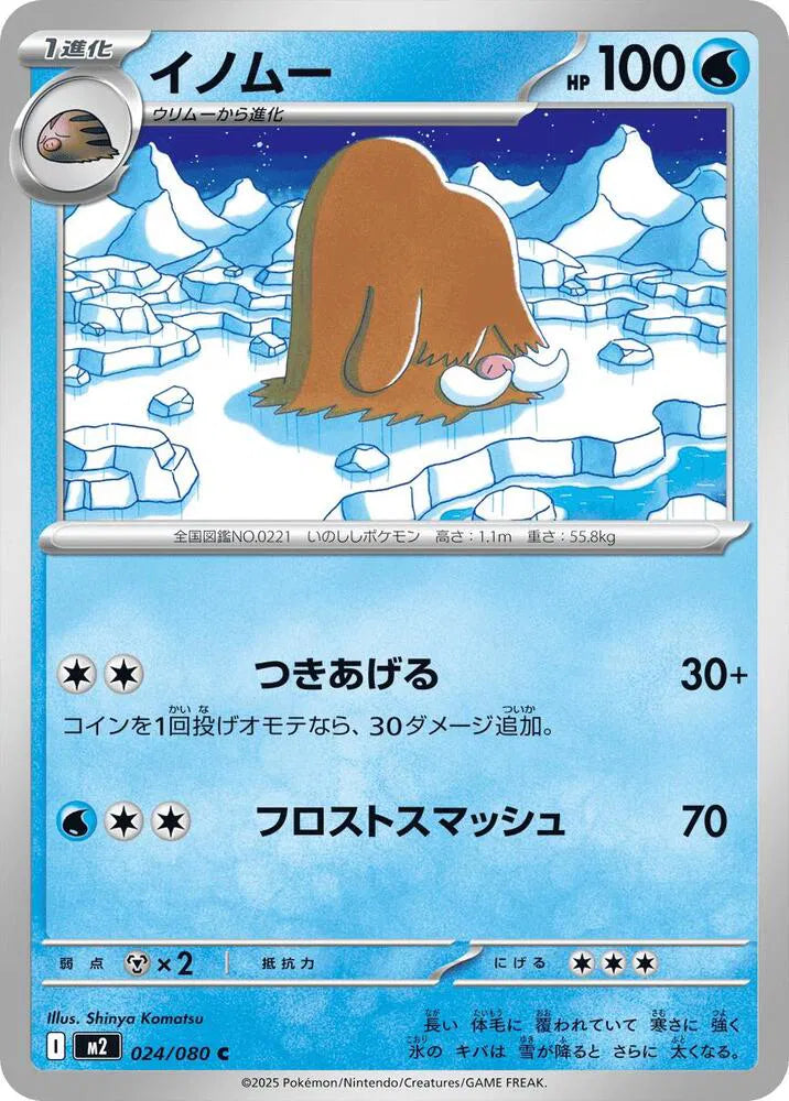 Piloswine 024/080