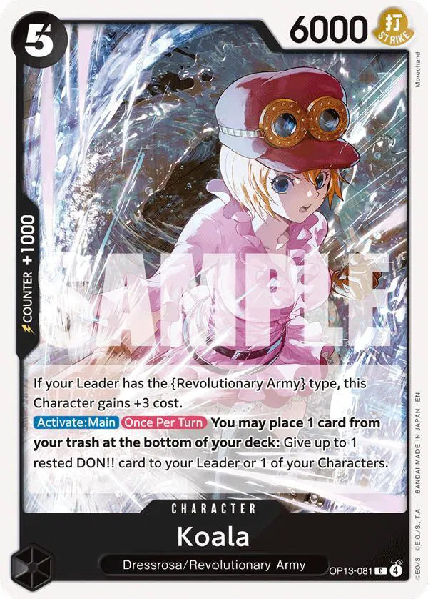 Koala OP13-081