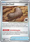 Antique Jaw Fossil 068/088